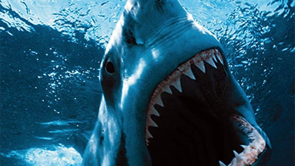 Bucket List: Dive with Great White Sharks